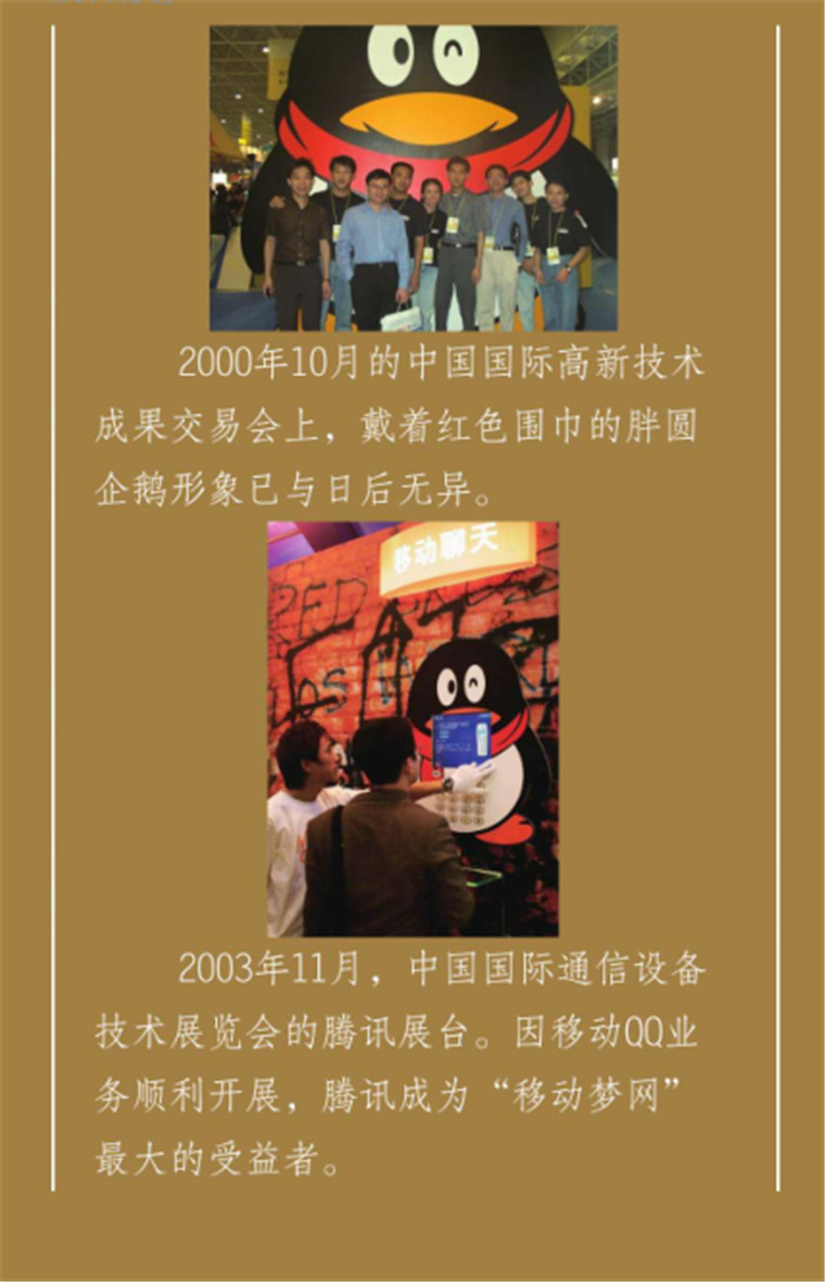 照片4