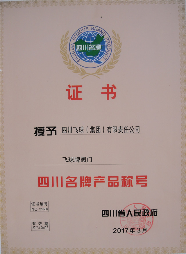 飞球名牌证书.JPG