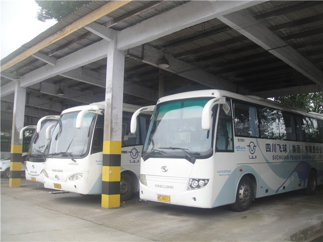 2公司车辆.JPG