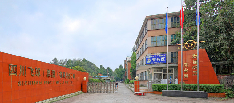 飞球公司.jpg